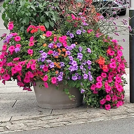 Σπίτι διακοπών Perfect In Normandy *