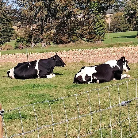 Dom wakacyjny Perfect In Normandy Chaulieu