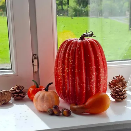 Perfect In Normandy *