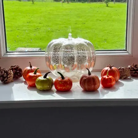 Dom wakacyjny Perfect In Normandy *