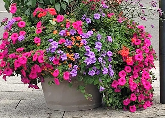 Holiday home Perfect In Normandy *