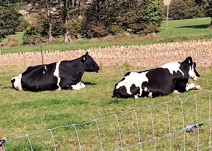 Holiday home Perfect In Normandy Chaulieu