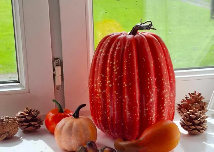 Perfect In Normandy *